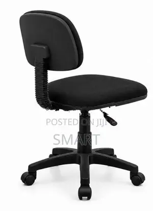 Piyestra Typist Wide Back with Arm Chair -Ptc003