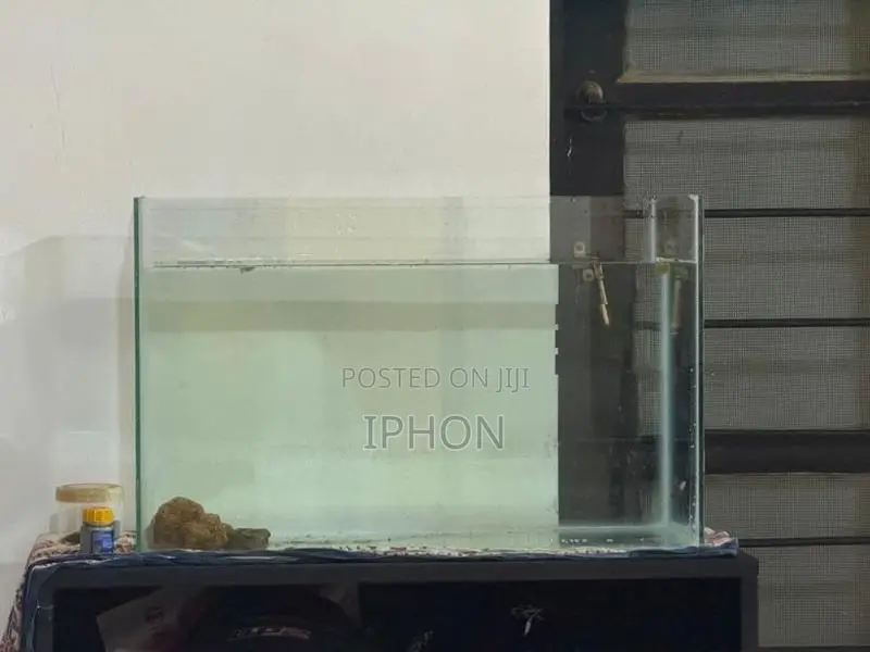 Fish Tank