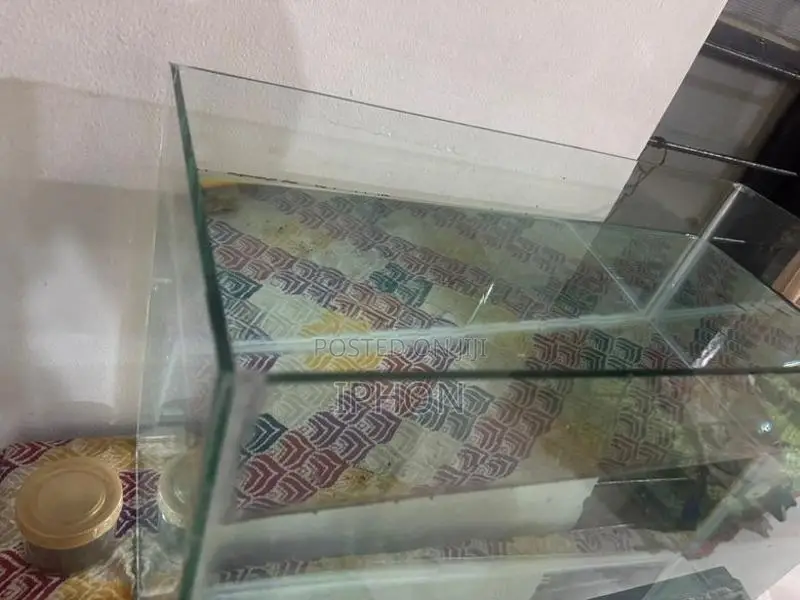 Fish Tank