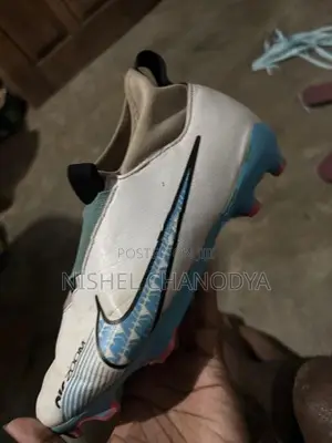 Nike Air Zoom Sport Shoe