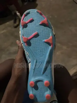 Nike Air Zoom Sport Shoe
