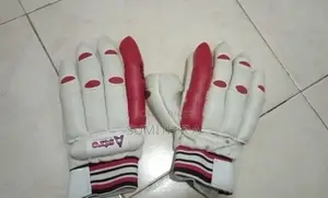 Cricket Set