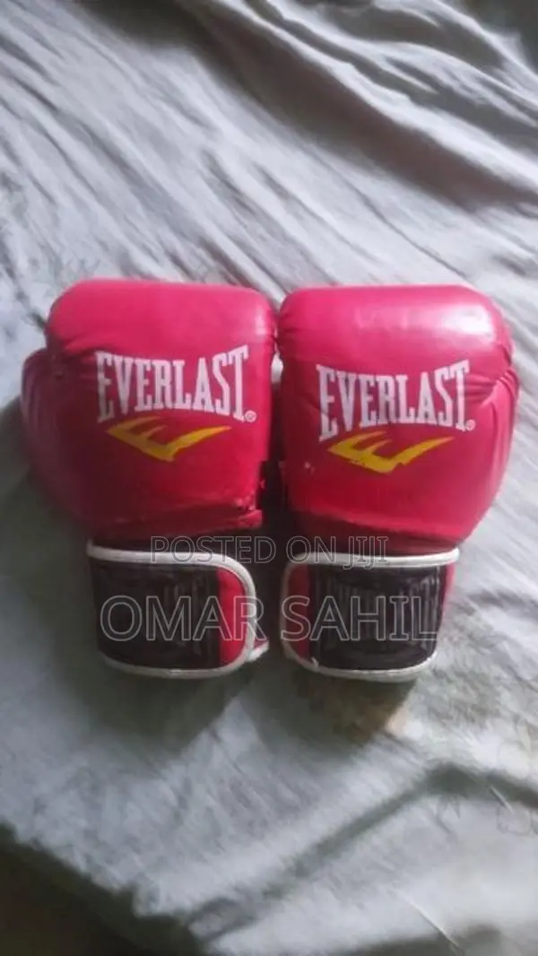 Everlast Boxing /MMA Gloves (Used)
