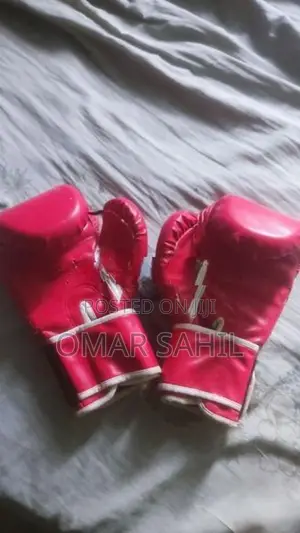 Everlast Boxing /MMA Gloves (Used)