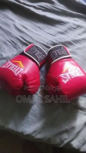 Everlast Boxing /MMA Gloves (Used)