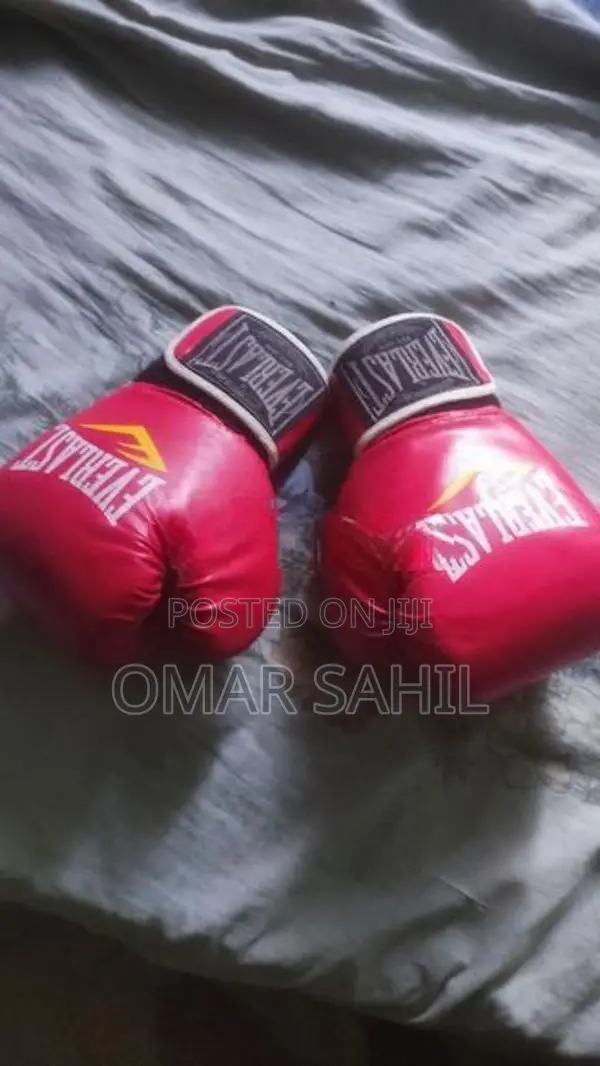 Everlast Boxing /MMA Gloves (Used)