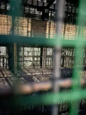 Bird Cage