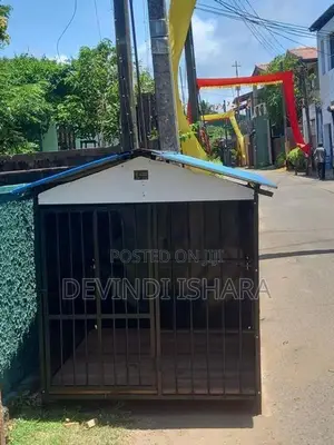 Dog Cage බලු කූඩු