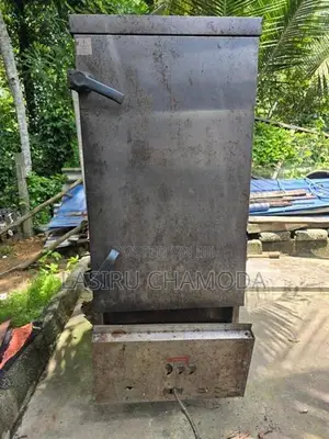 Gas Rice Steamer 48kg
