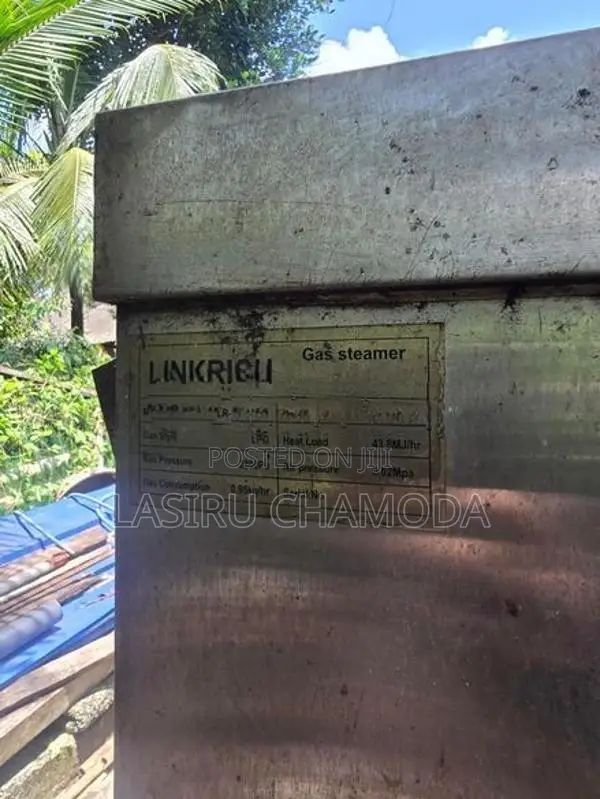 Gas Rice Steamer 48kg