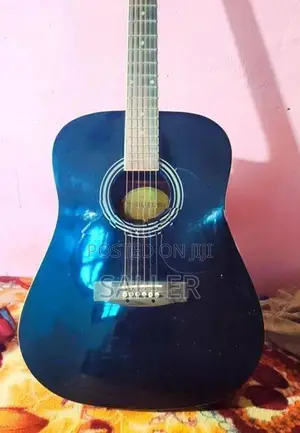 Suzuki Box Guitar