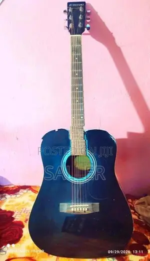 Suzuki Box Guitar