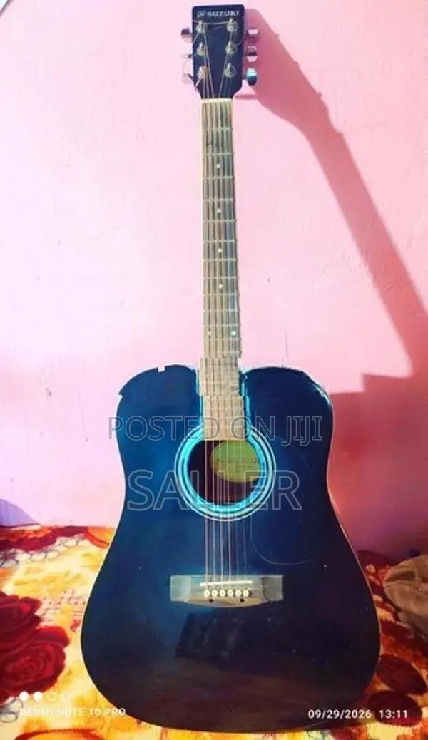 Suzuki Box Guitar