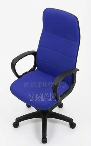 PIYESTRA EX,HIGH Back Junior, Gas Lift Chair -ECH004
