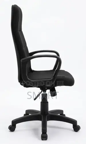 Piyestra Ex High Back Junior Gas Lift Chair -Ech004