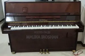 Cristofori Niemeyer Piano