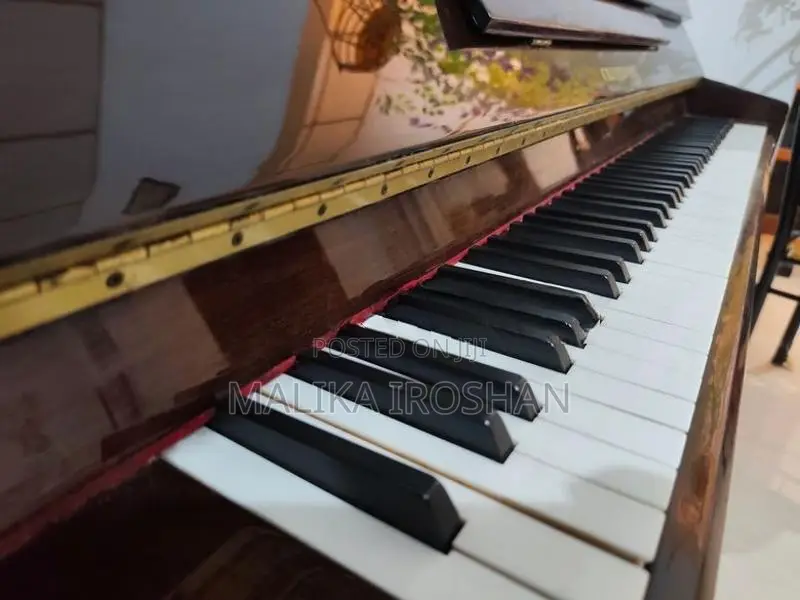 Cristofori Niemeyer Piano
