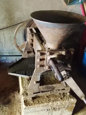 තෙල් මෝලක්