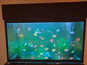 Ornamental Fish Tank