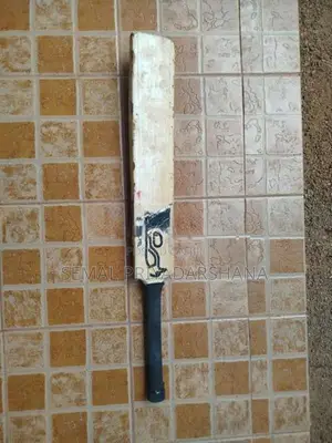 Kokabura Bat