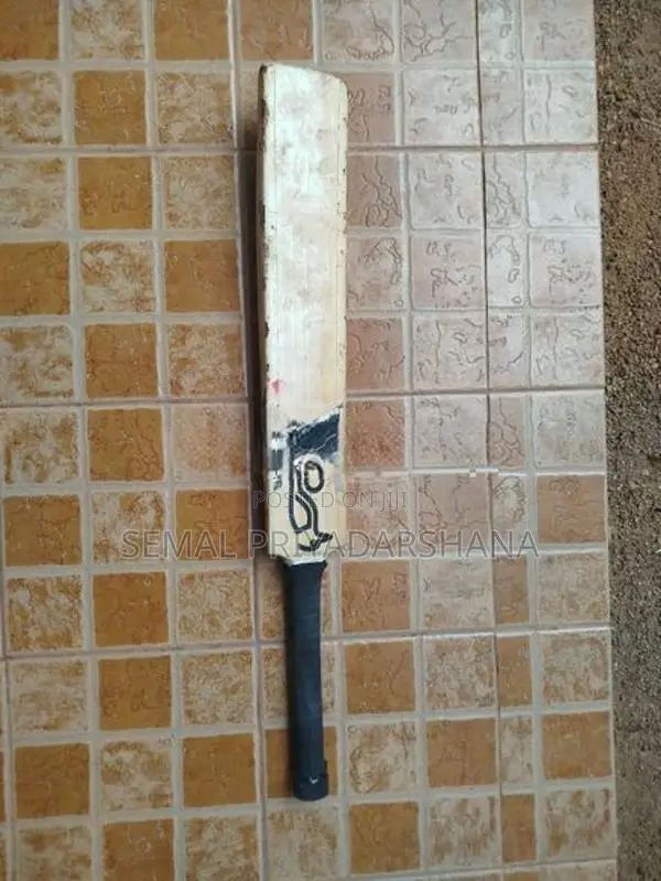 Kokabura Bat