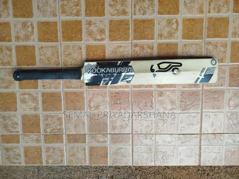 Kokabura Bat