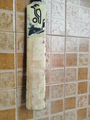 Kokabura Bat