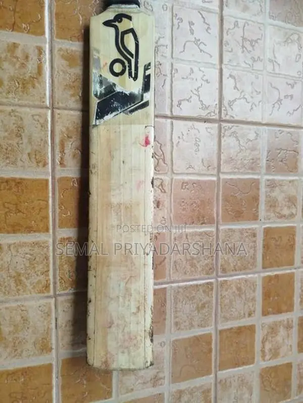 Kokabura Bat