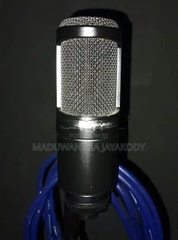 Audio Technica T2020 Condenser Microphone
