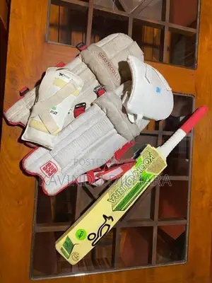 Cricket Set