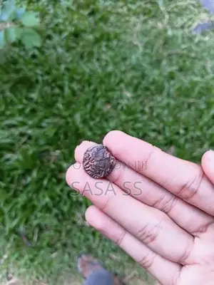 Old Chola Era Coin