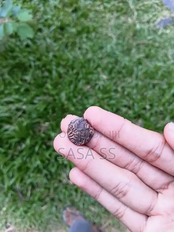 Old Chola Era Coin