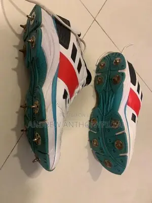 Cricket Shoes (Gray Nicolls)