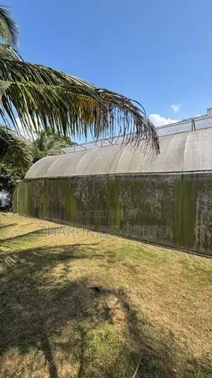 Polytunnel Green House