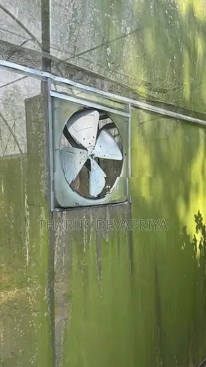 Polytunnel Green House