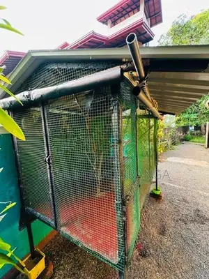 Bird Cage