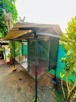 Bird Cage