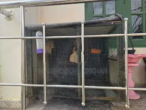 Bird Cage