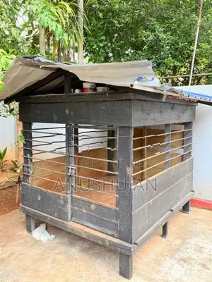Metal Dog Cage
