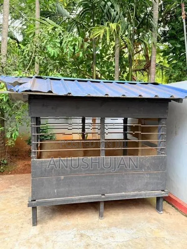 Metal Dog Cage