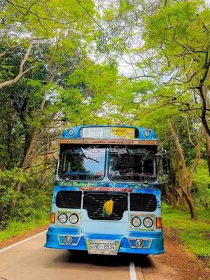 Ashok-Leyland Leyland 2014 Bus (Used)