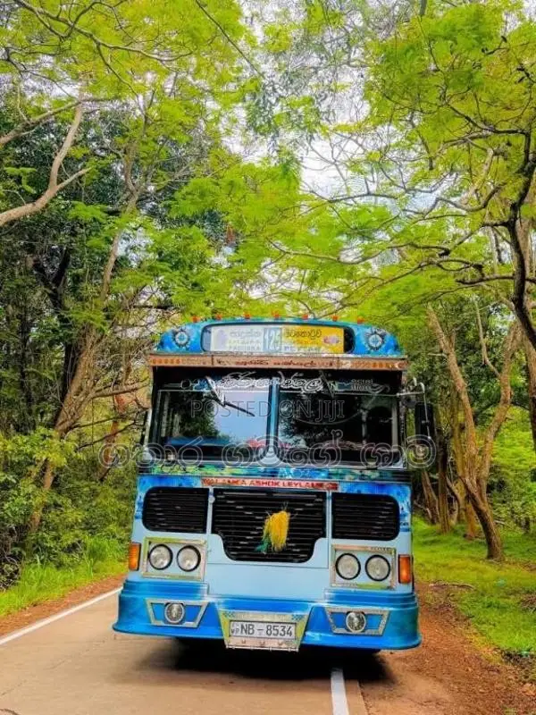 Ashok-Leyland Leyland 2014 Bus (Used)