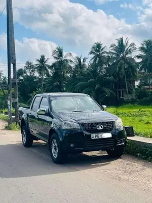 Micro SPORT 2015 Pickup (Used)