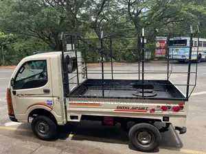 Tata Dimo Batta 2011 Lorry (Used)