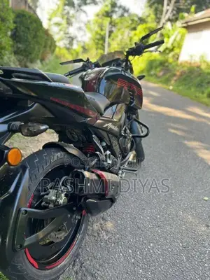 TVS Apache RTR 200 4v RACE EDITION 2019 Motorbike (Used)