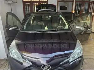 Toyota Vitz 2019 Car (Used)
