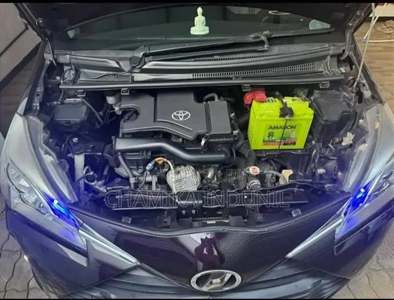 Toyota Vitz 2019 Car (Used)