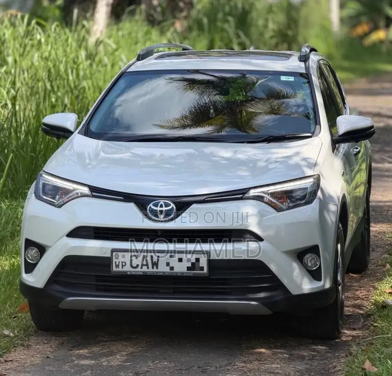 Toyota RAV4 Hybrid 2017 SUV (Used)