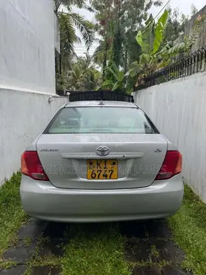 Toyota Axio 2008 Car (Used)