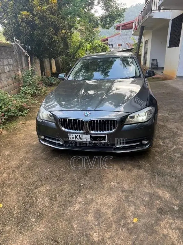 BMW 520D 2013 Car (Used)
